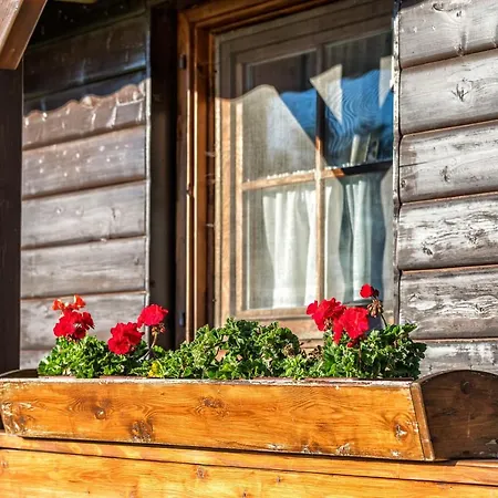 Pod Lipou * Oscadnica