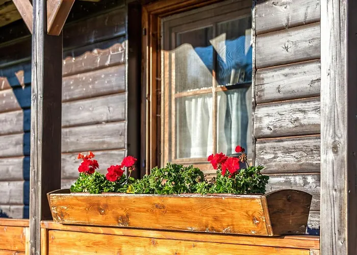 Pod Lipou * Ошчадница